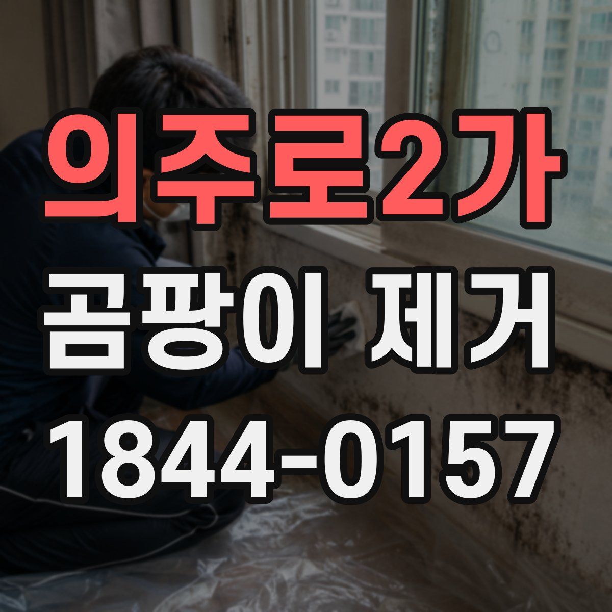 의주로2가 곰팡이 제거