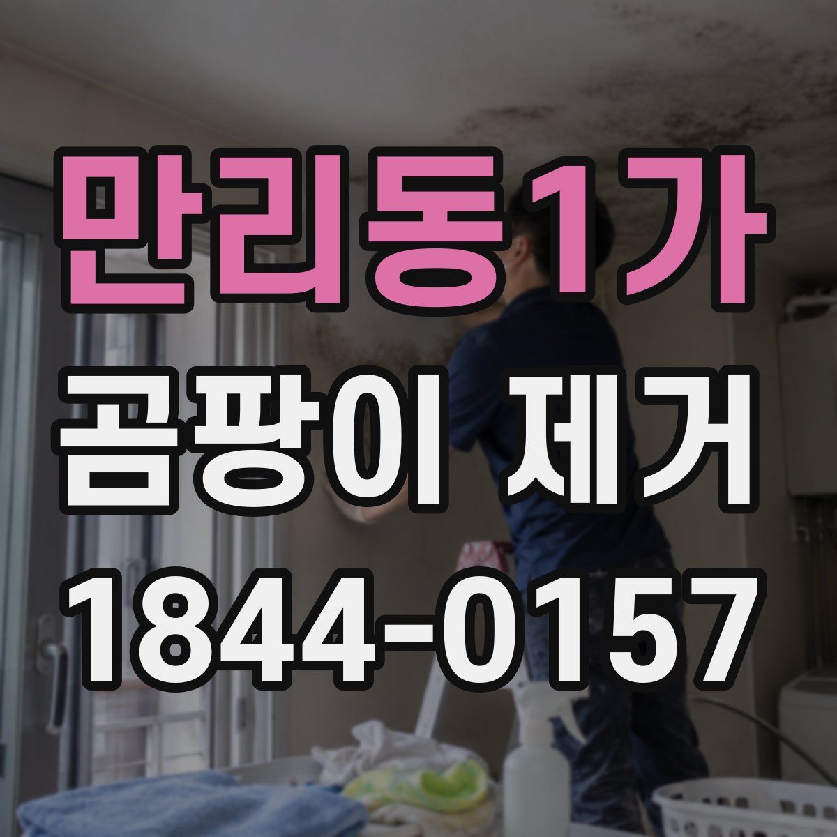만리동1가 곰팡이 제거