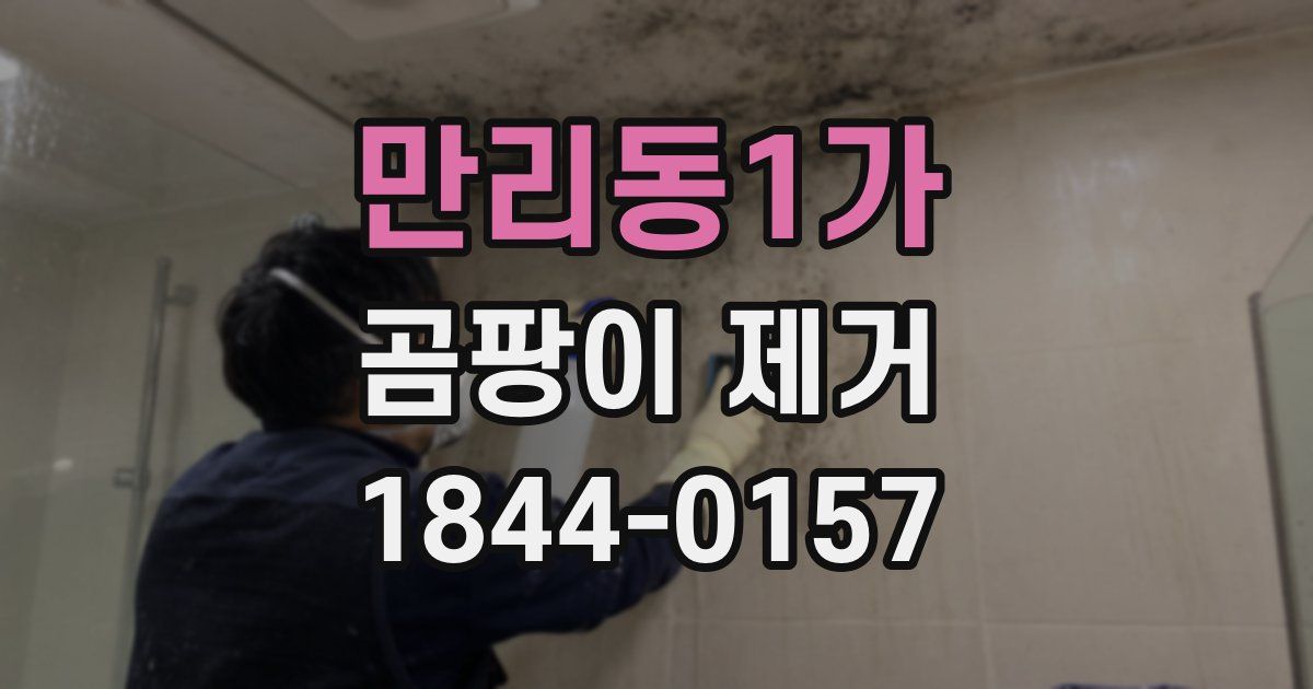 만리동1가 곰팡이 제거
