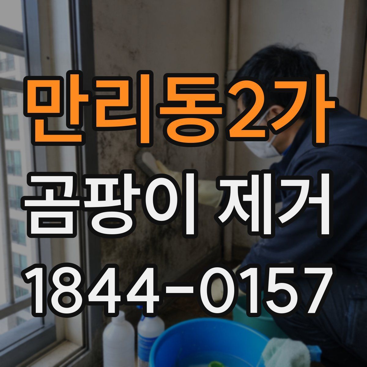 만리동2가 곰팡이 제거