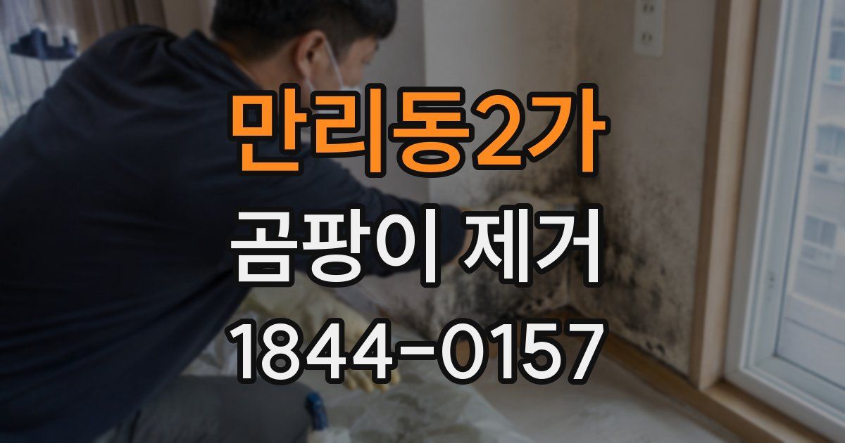 만리동2가 곰팡이 제거