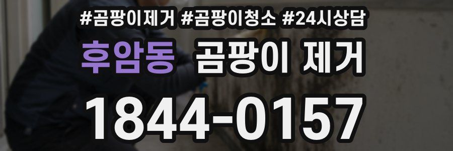 후암동 곰팡이 제거