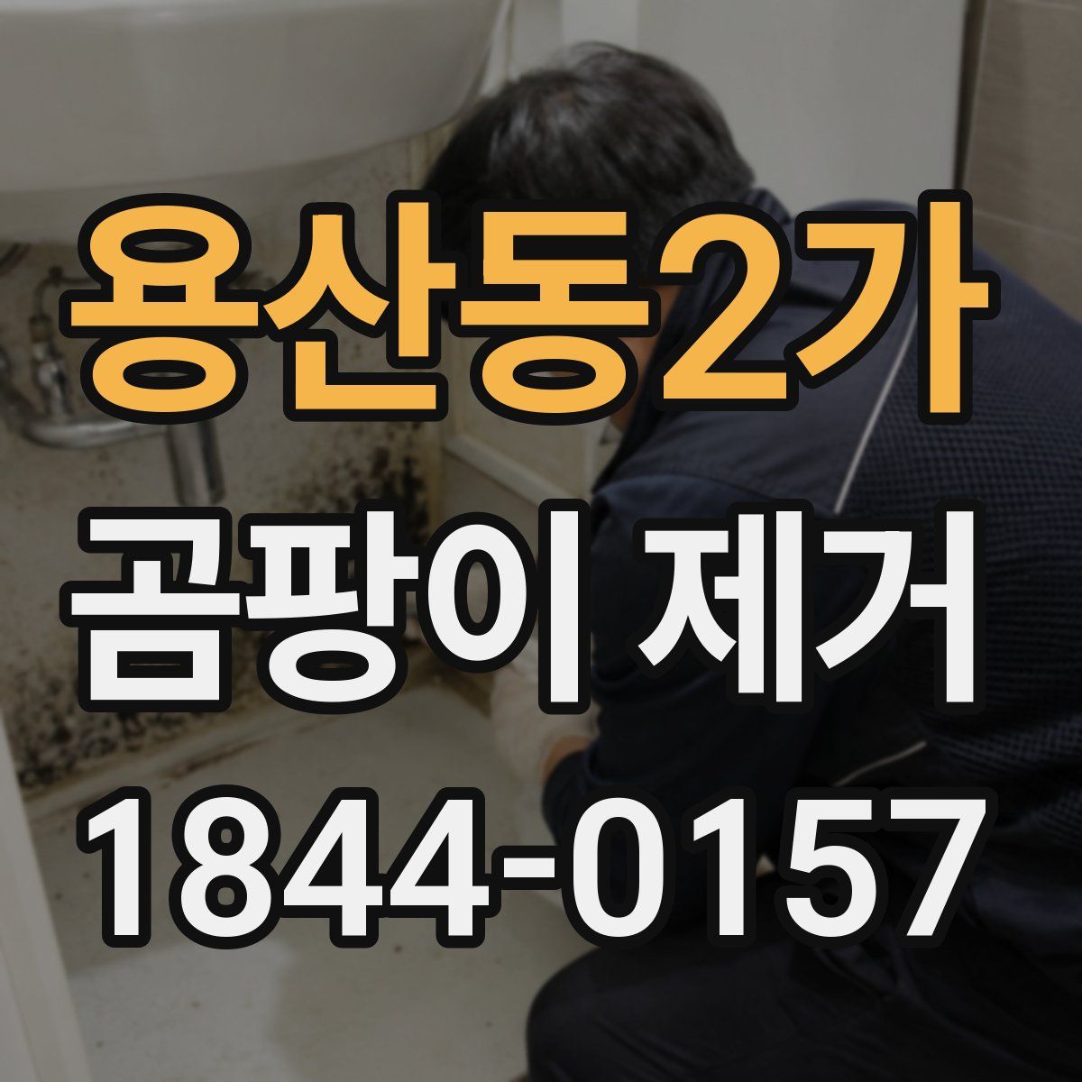 용산동2가 곰팡이 제거