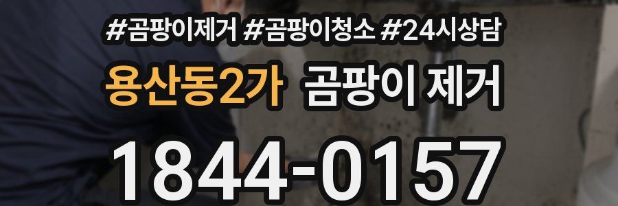 용산동2가 곰팡이 제거