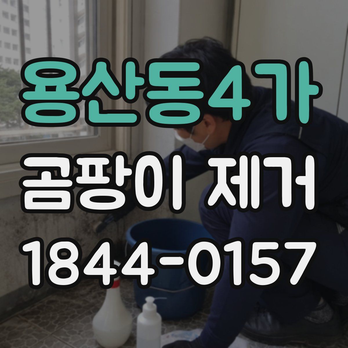 용산동4가 곰팡이 제거