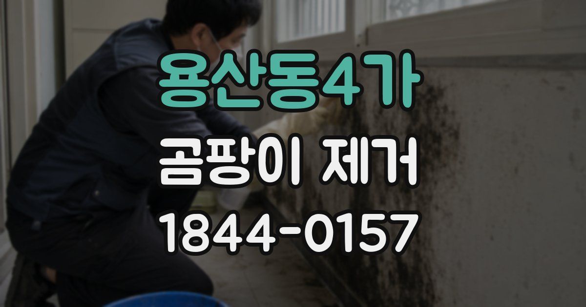 용산동4가 곰팡이 제거