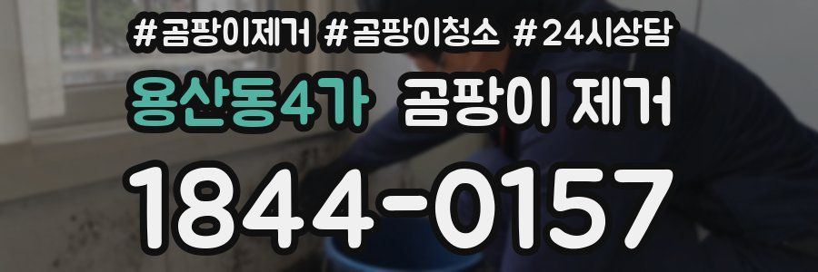 용산동4가 곰팡이 제거