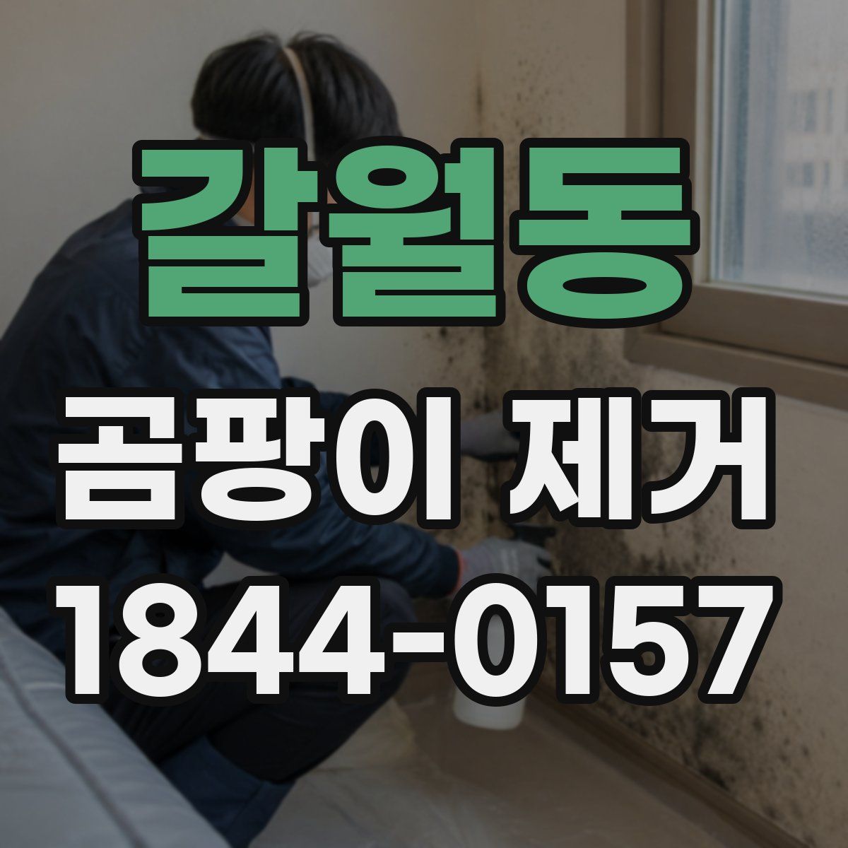 갈월동 곰팡이 제거