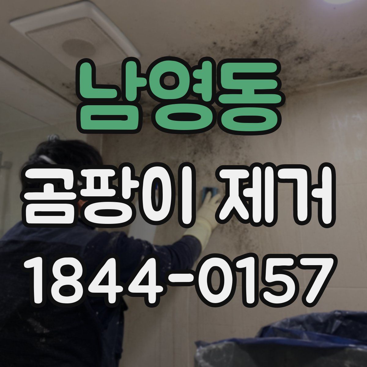남영동 곰팡이 제거