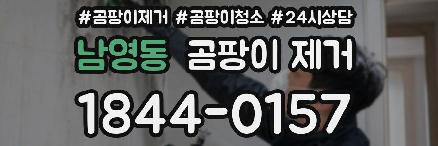 남영동 곰팡이 제거