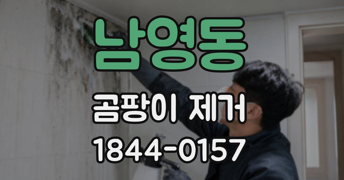 남영동 곰팡이 제거