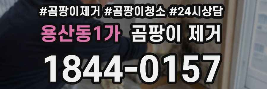 용산동1가 곰팡이 제거