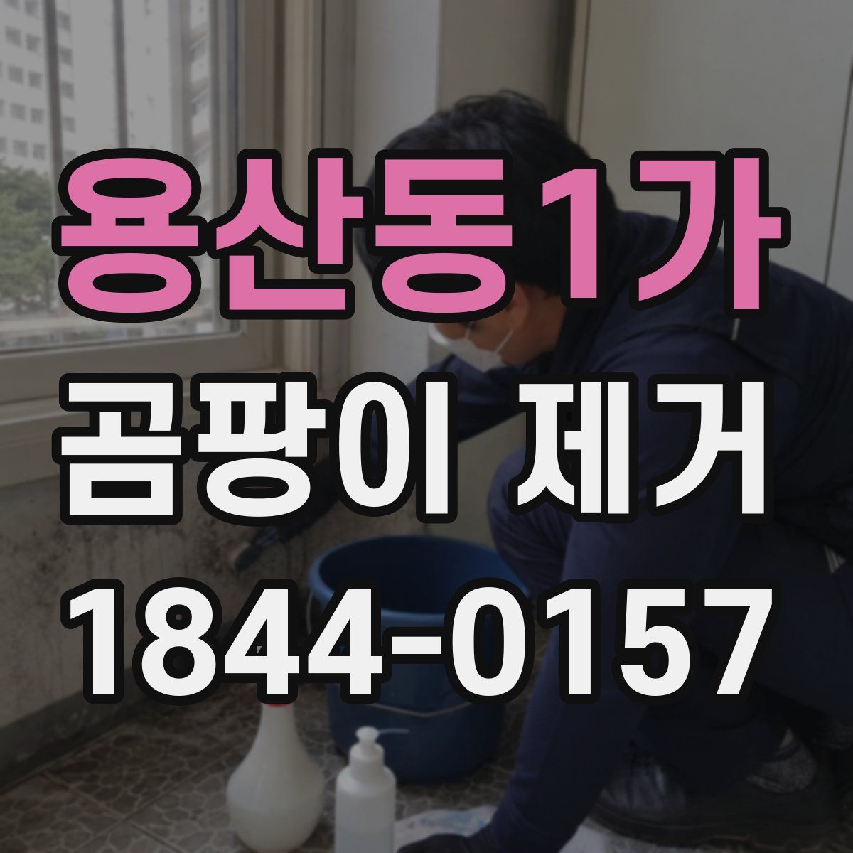 용산동1가 곰팡이 제거