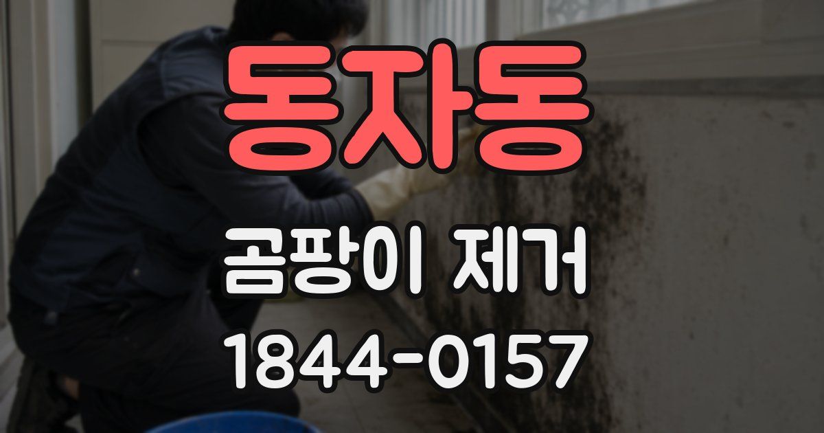 동자동 곰팡이 제거