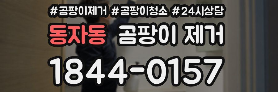 동자동 곰팡이 제거