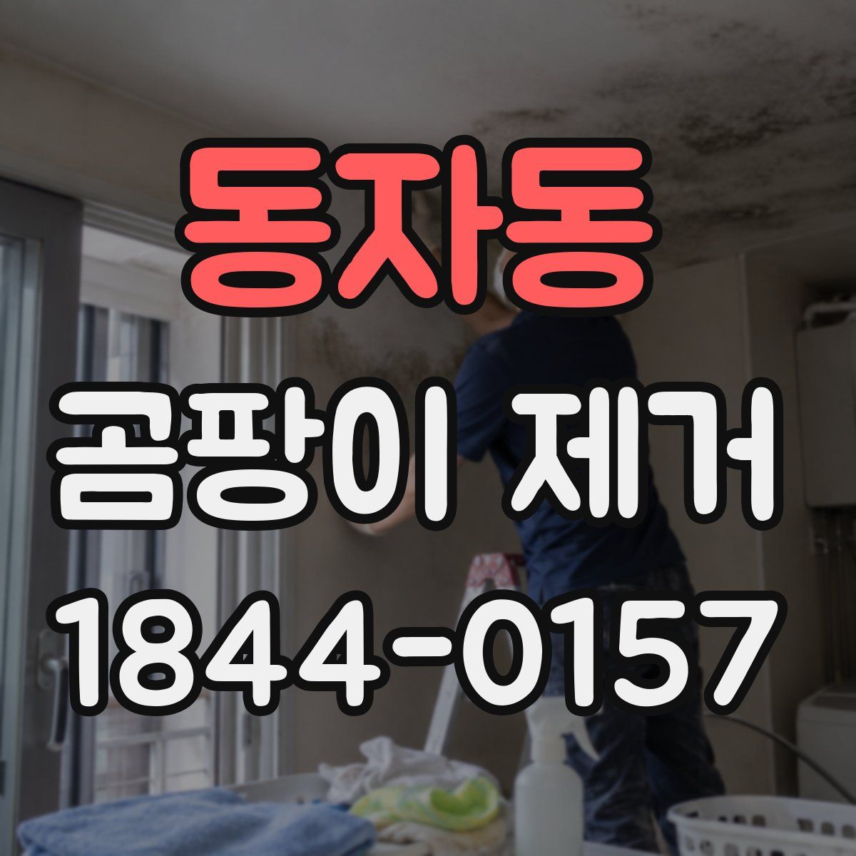 동자동 곰팡이 제거