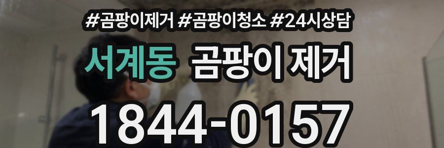 서계동 곰팡이 제거