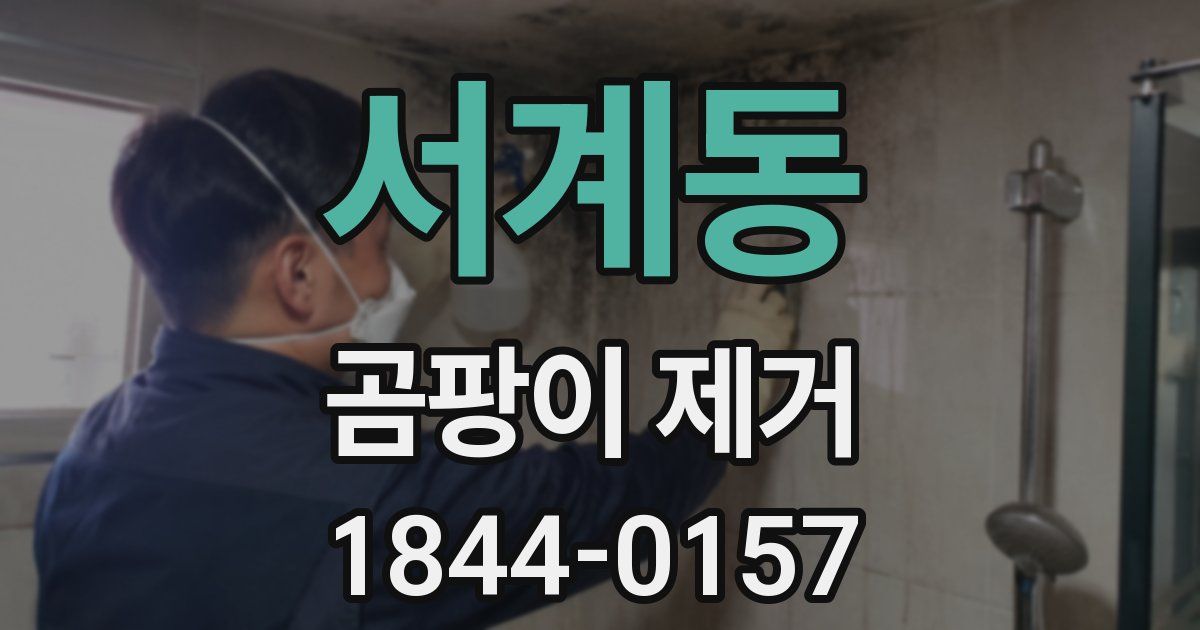 서계동 곰팡이 제거