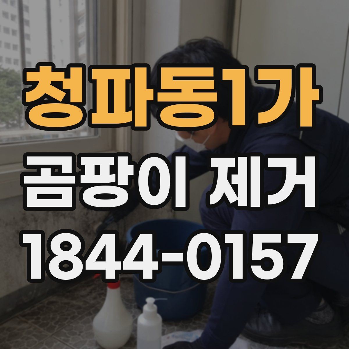 청파동1가 곰팡이 제거 오래된 얼룩이 더 까다로운 이유