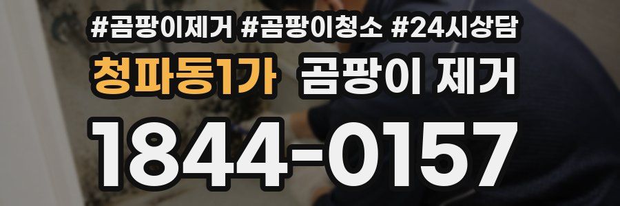 청파동1가 곰팡이 제거