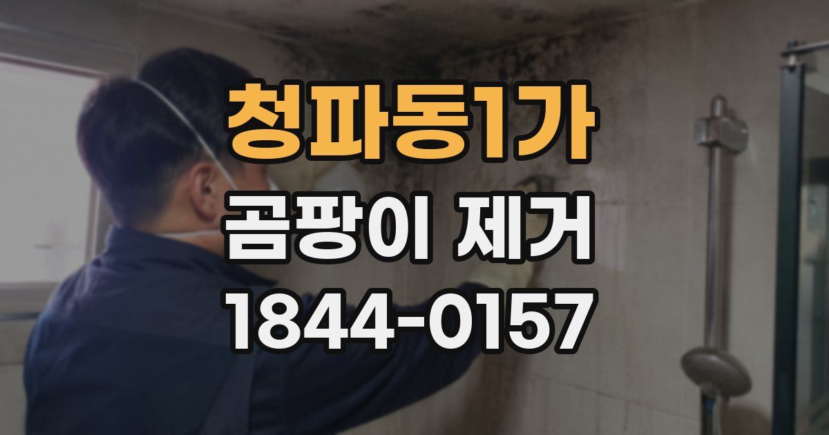 청파동1가 곰팡이 제거