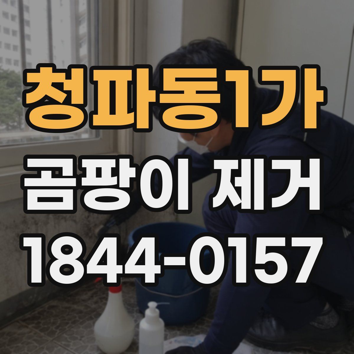청파동1가 곰팡이 제거