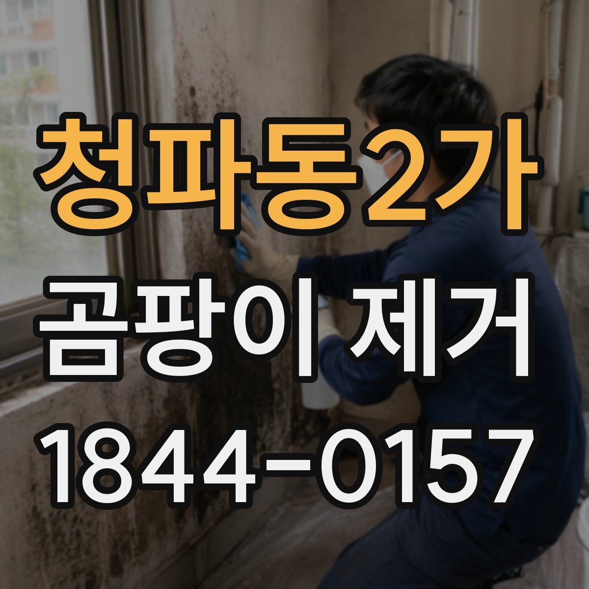 청파동2가 곰팡이 제거