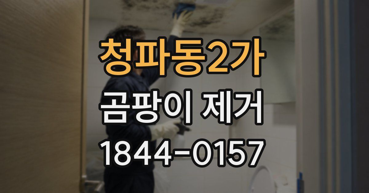 청파동2가 곰팡이 제거