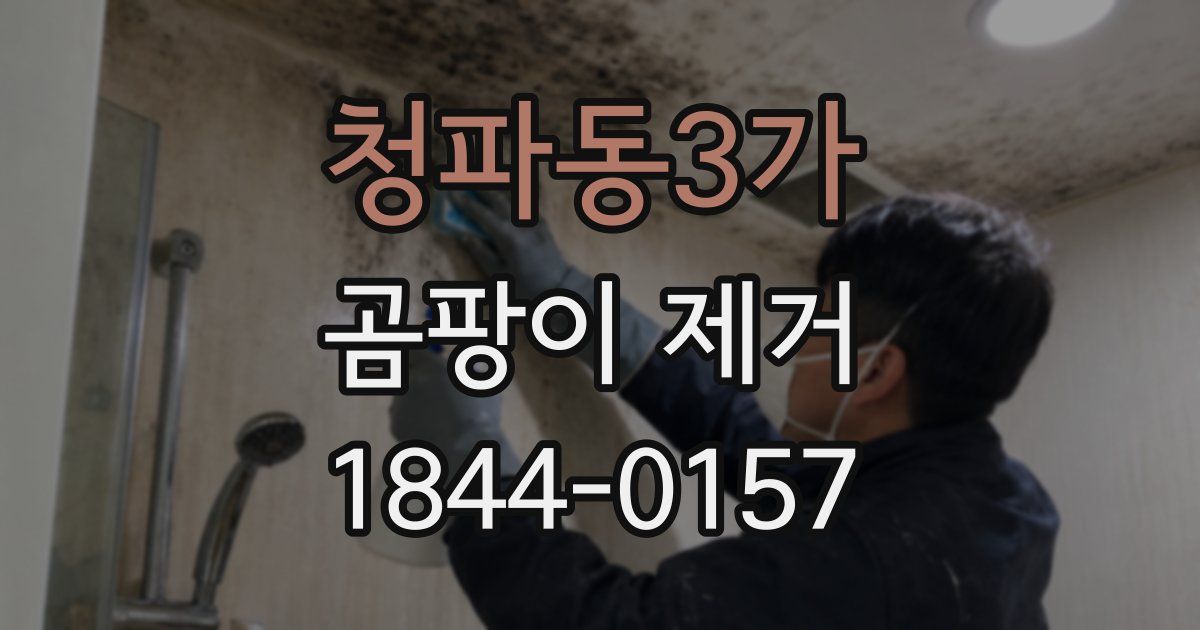 청파동3가 곰팡이 제거
