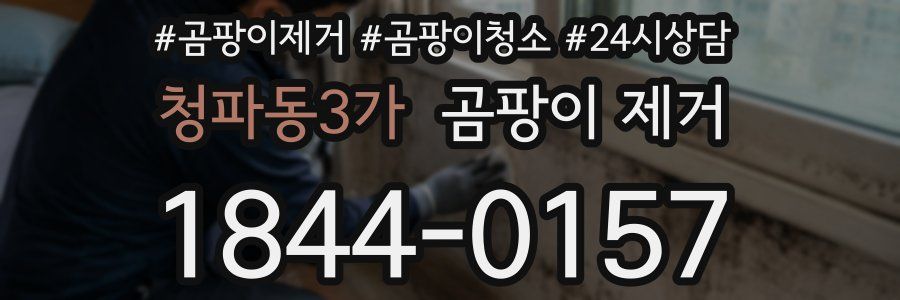 청파동3가 곰팡이 제거