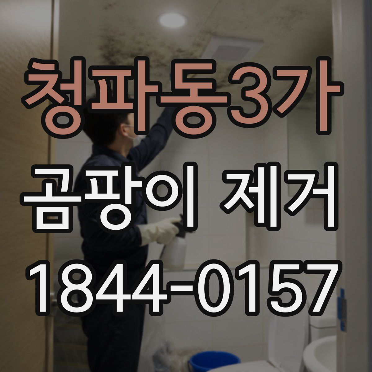 청파동3가 곰팡이 제거