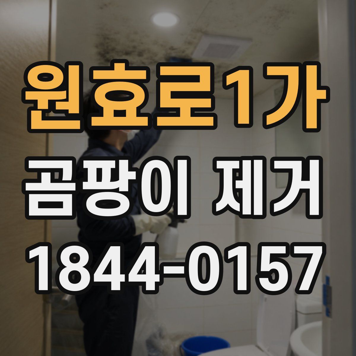 원효로1가 곰팡이 제거