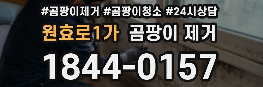 원효로1가 곰팡이 제거