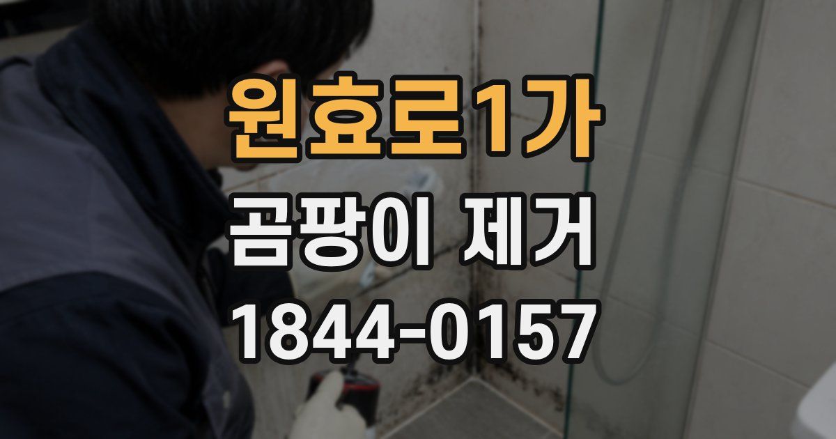 원효로1가 곰팡이 제거