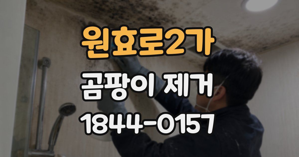 원효로2가 곰팡이 제거
