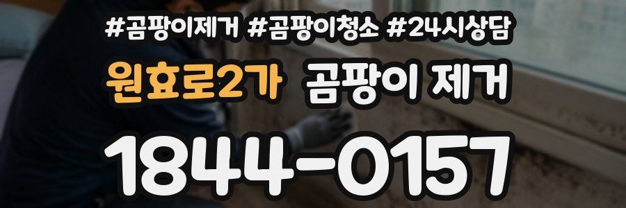 원효로2가 곰팡이 제거
