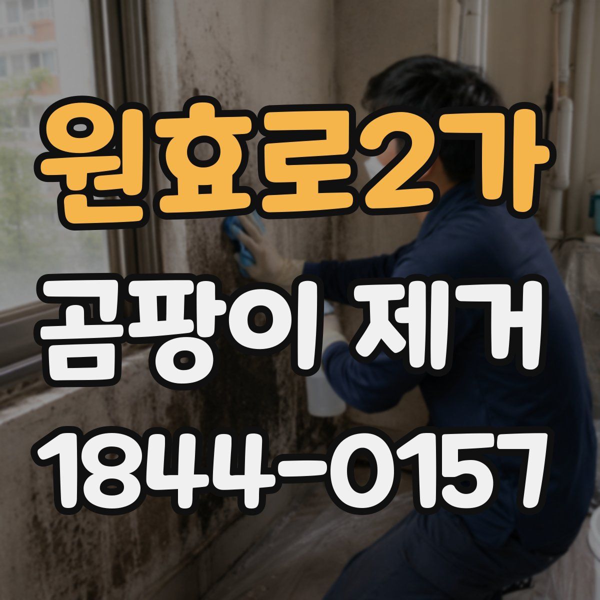 원효로2가 곰팡이 제거