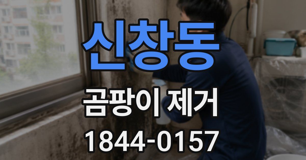 신창동 곰팡이 제거