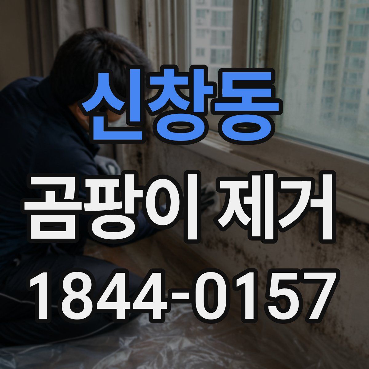 신창동 곰팡이 제거