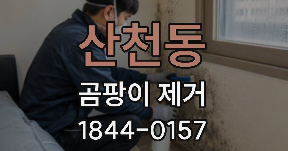산천동 곰팡이 제거