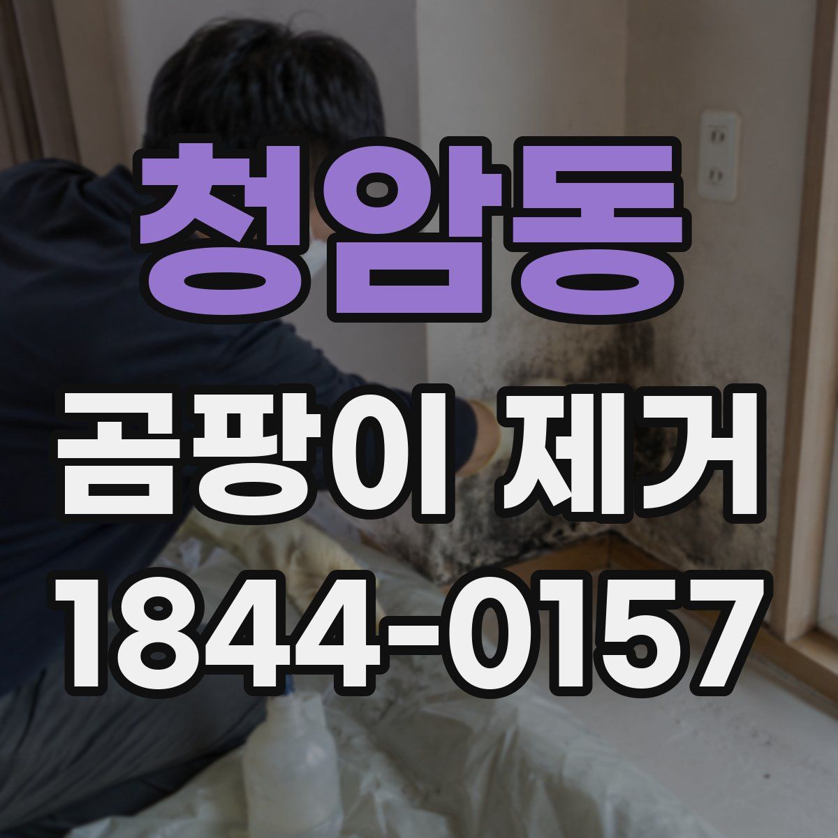 청암동 곰팡이 제거