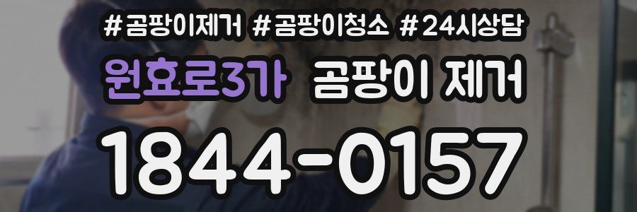 원효로3가 곰팡이 제거