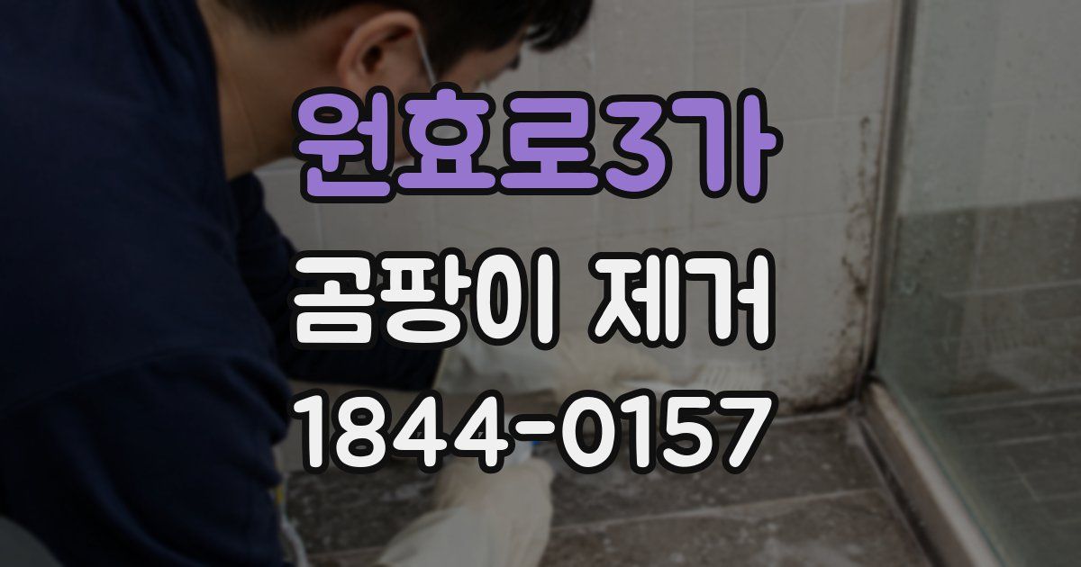 원효로3가 곰팡이 제거