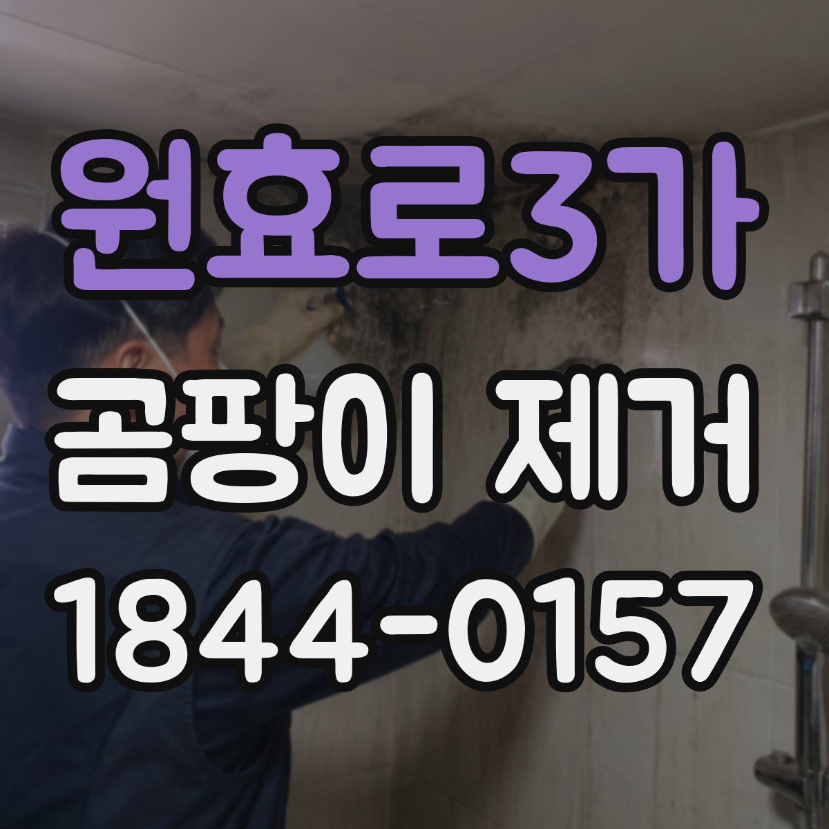원효로3가 곰팡이 제거