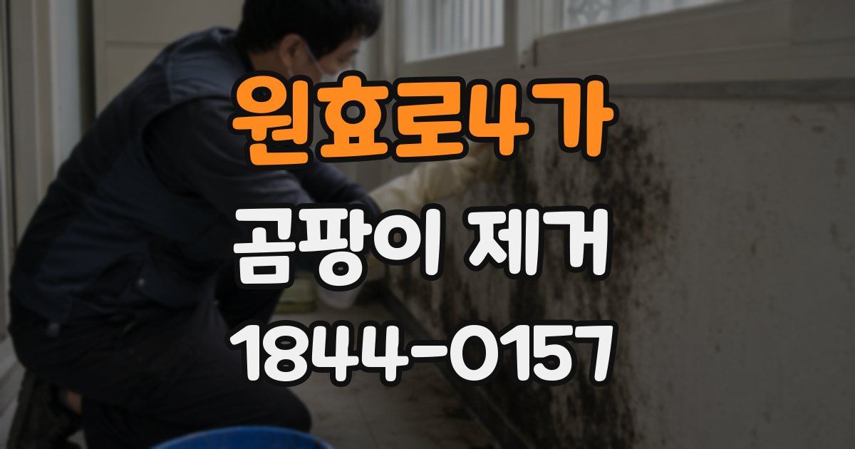 원효로4가 곰팡이 제거