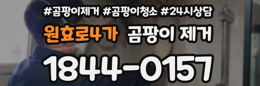 원효로4가 곰팡이 제거
