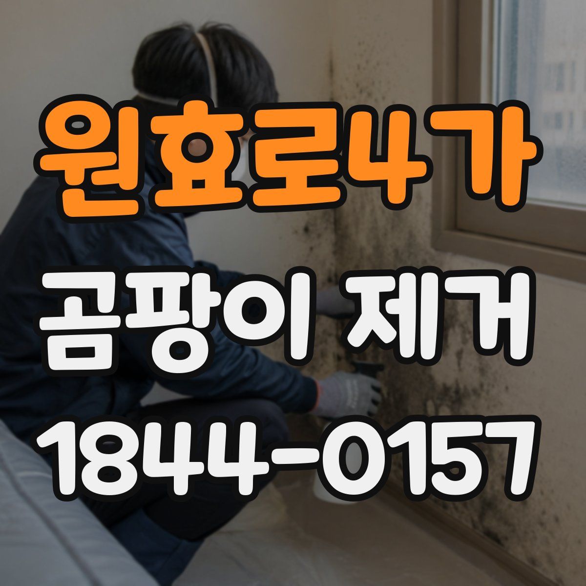 원효로4가 곰팡이 제거