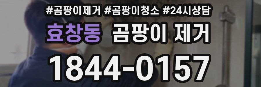 효창동 곰팡이 제거