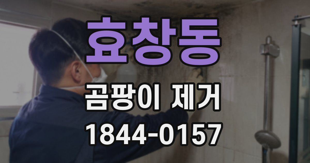 효창동 곰팡이 제거