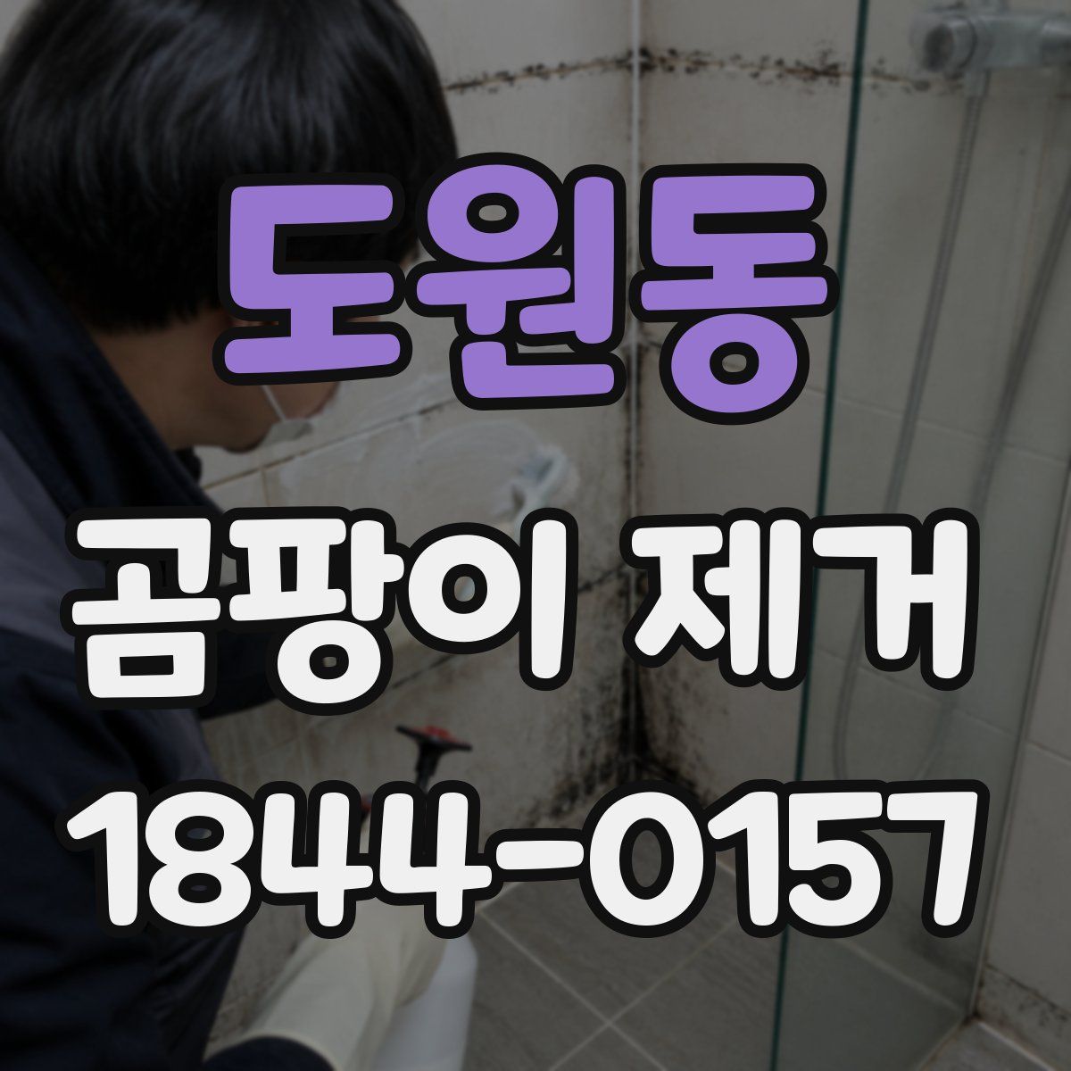 도원동 곰팡이 제거